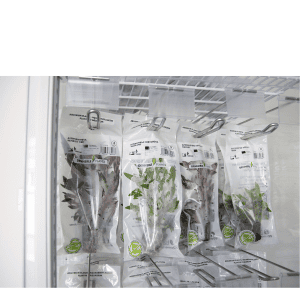 Plants to Go